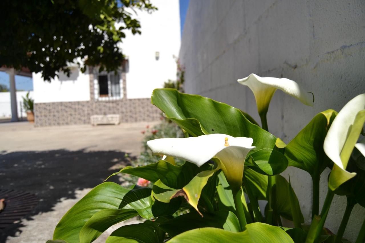 La Orquidea De Cordoba Villa Екстериор снимка