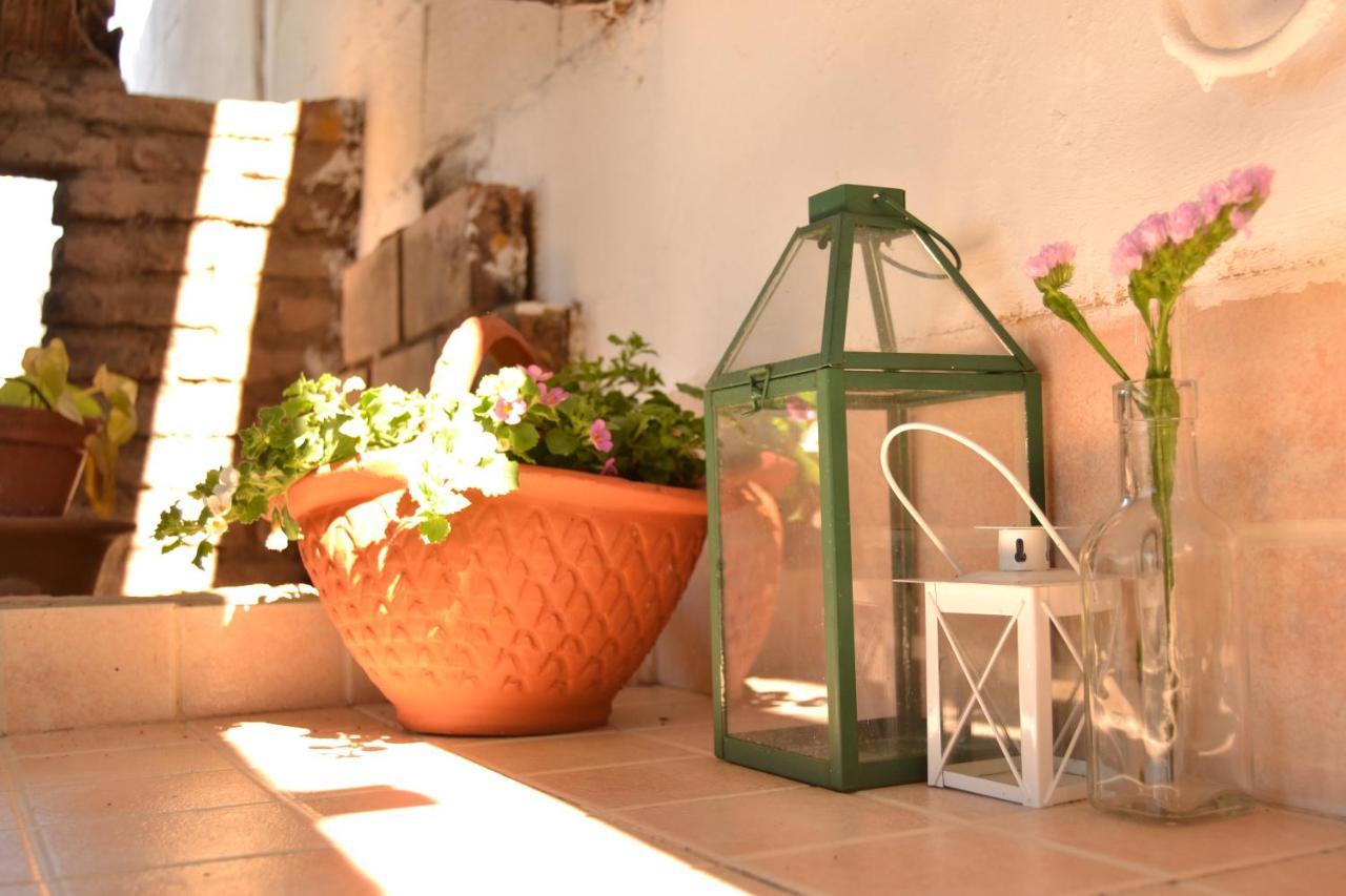La Orquidea De Cordoba Villa Екстериор снимка